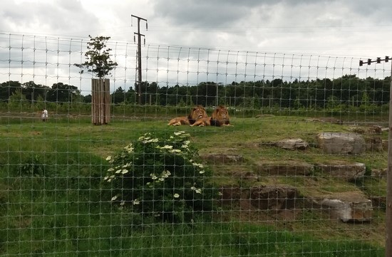 Yorkshire Wildlife Park