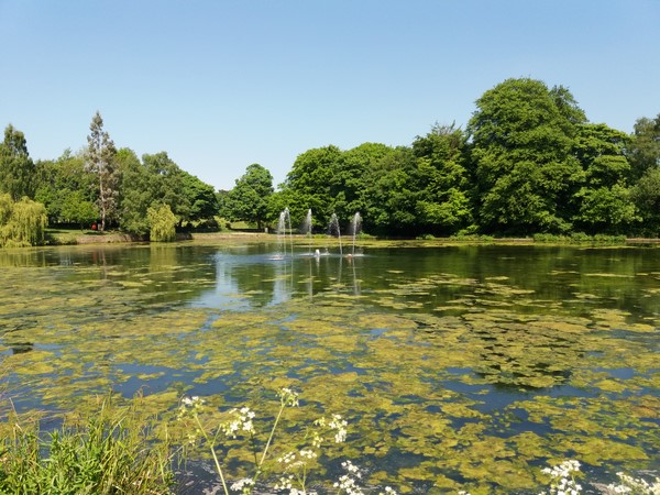 Roundhay Park