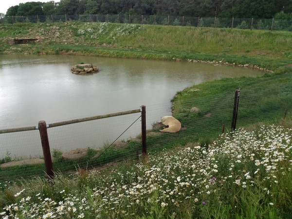 Yorkshire Wildlife Park