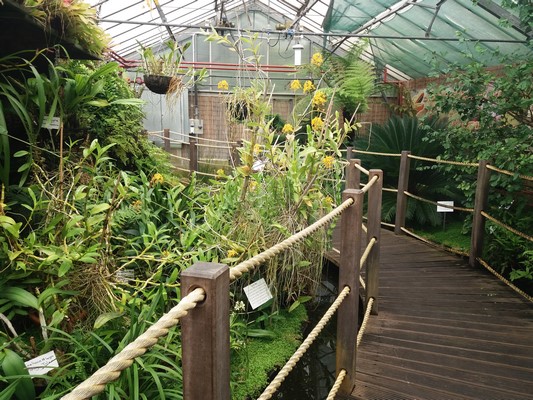 Manor Heath Park And Jungle Experience