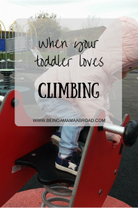 Toddler Loves Climbing